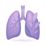 Lungs